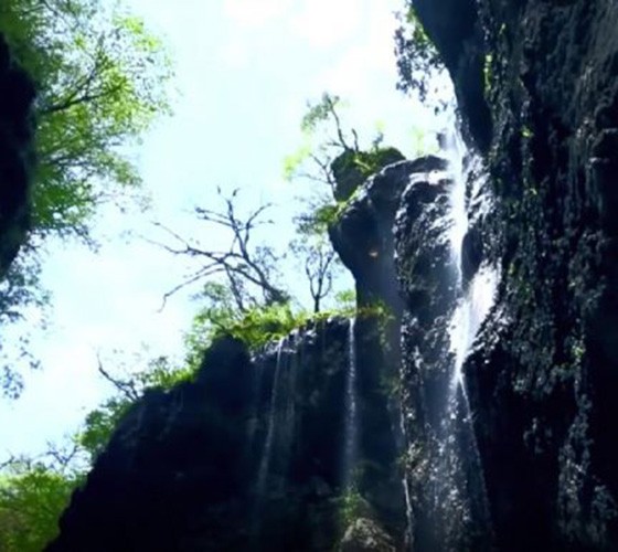青山綠水，白龍江畔江畔息白鷺，兩岸綠橄欖入眼的都是純樸自然枝上花開(kāi)，春來(lái)水暖魚(yú)蝦戲水，鳥(niǎo)語(yǔ)花香心中充滿(mǎn)著舒暢之感祥宇生態(tài)產(chǎn)業(yè)園，位于隴南市武..